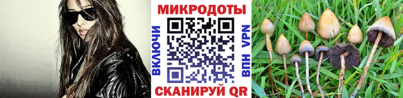 Галлюциногенные грибы ЛСД  как найти закладки  Малгобек 