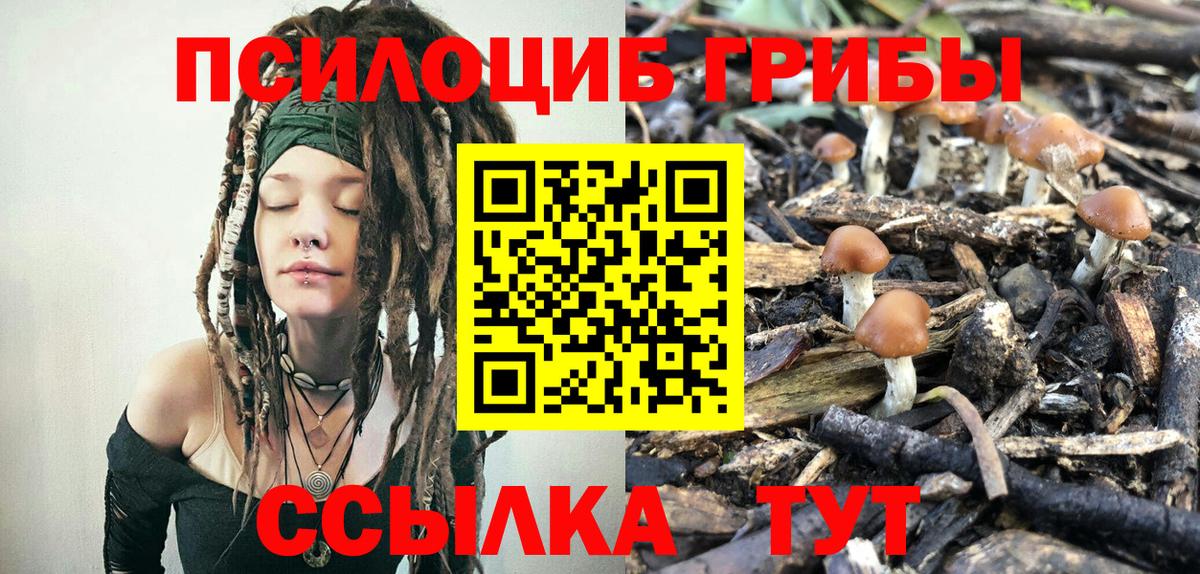Малгобек  Псилоцибиновые грибы ЛСД  Вход с VPN  Галлюциногенные грибы Psilocybine cubensis 